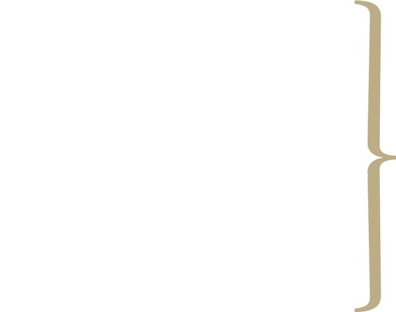Ned Wellman, Professor of Management and Entrepreneurship typography